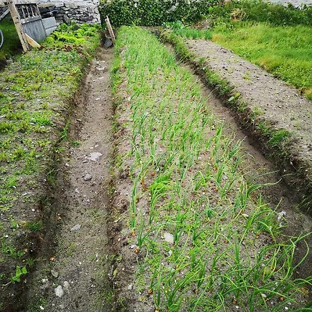 An Creagán Casa rural Inis Oírr